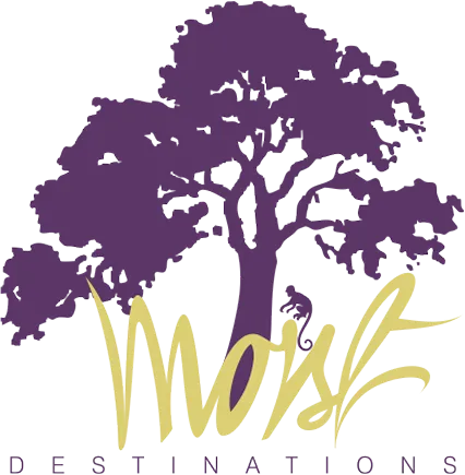 Mist Destinations logo design by OH! Design Studio